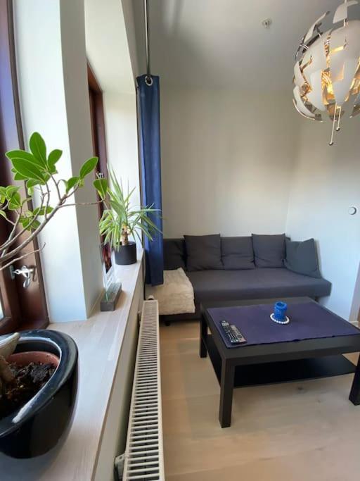 Moderne Leilighet Midt I Sentrum Av Фредрикщат Екстериор снимка